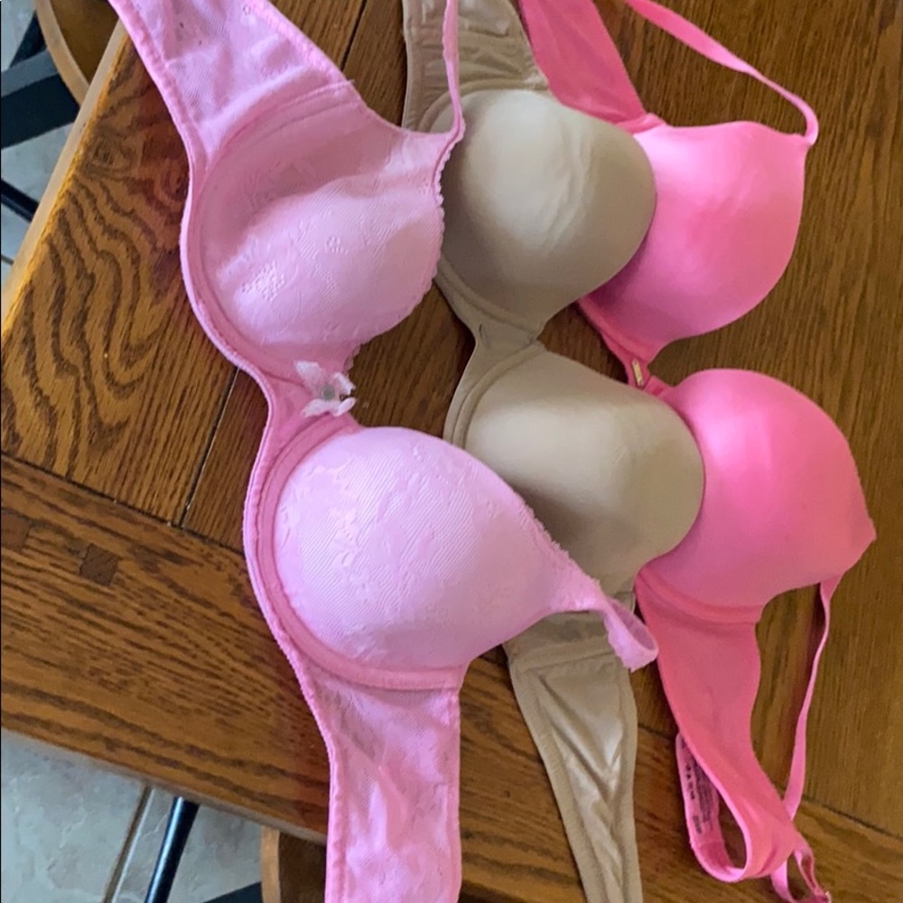 Women’s bras